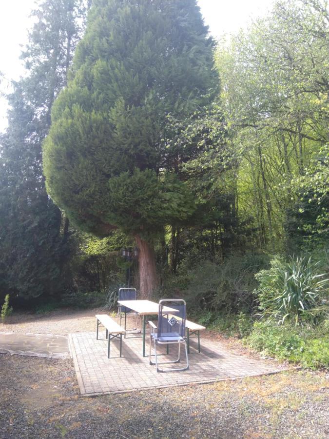 A L'Oree Du Bois Hamoir Exterior foto